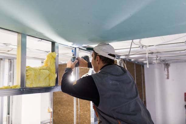Best Eco-Friendly Insulation in Fountain Valley, CA
