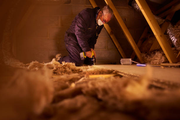 Best Cellulose Insulation in Fountain Valley, CA
